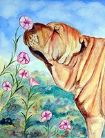 Caroline's Treasures 7105gf Shar Pei Smell The Flowers Flag, Small, Multicolor, on sale Caroline's Treasures 7105gf Shar Pei Smell The Flowers Flag, Small, Multicolor, on sale