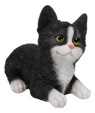 Esmoquin sentado realista blanco y negro felino gatito gato mascota pal estatuilla