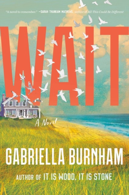 Wait A Novel by Gabriella Burnham (Hardback Book)