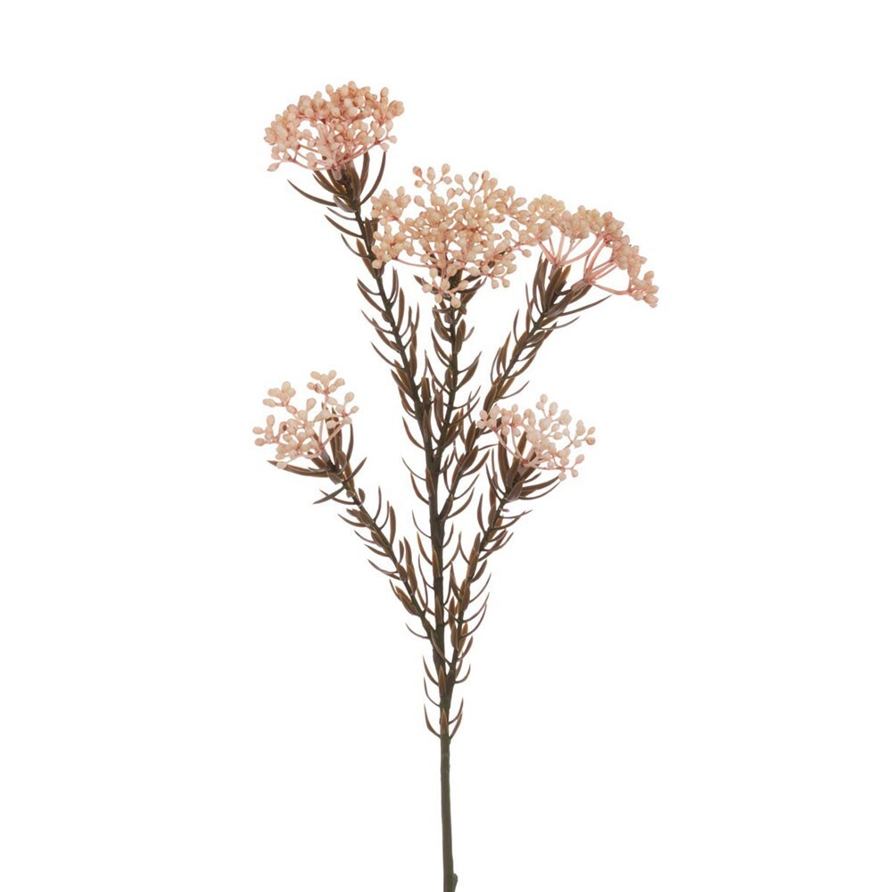 ECO Sustainably Produced Rice Flower Spray 72cm/28 Inches Tall Beige