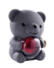 Grey Bear with Preserved Rose, Gifts for Her, Real Rose Flower in Bear Belly ...