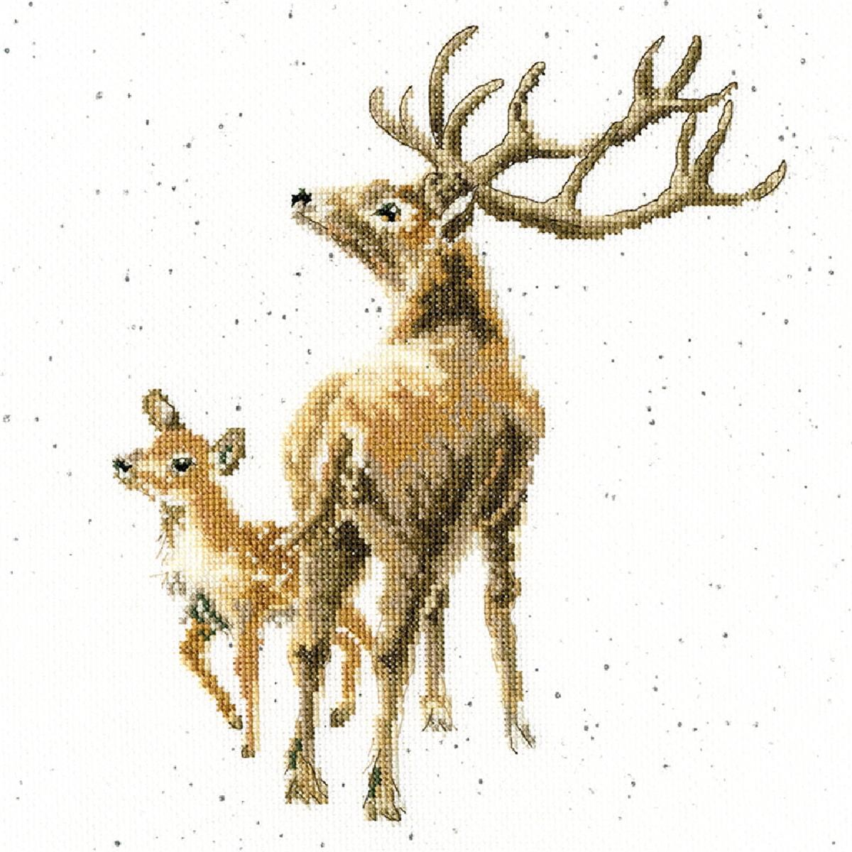 Bothy Threads counted cross stitch Kit ""Wild At Heart"", 26x26cm, XHD72