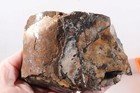 Fossil Pierre Shale Sutured Baculite Ammonite 1 lb 3 oz rough lot R — photo 9
