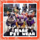 🌸Adopt (All Stuff) Today! 🌸 🌟Rare🌟 📿 Cute & Cheap 🧣PET WEAR🪭 💡