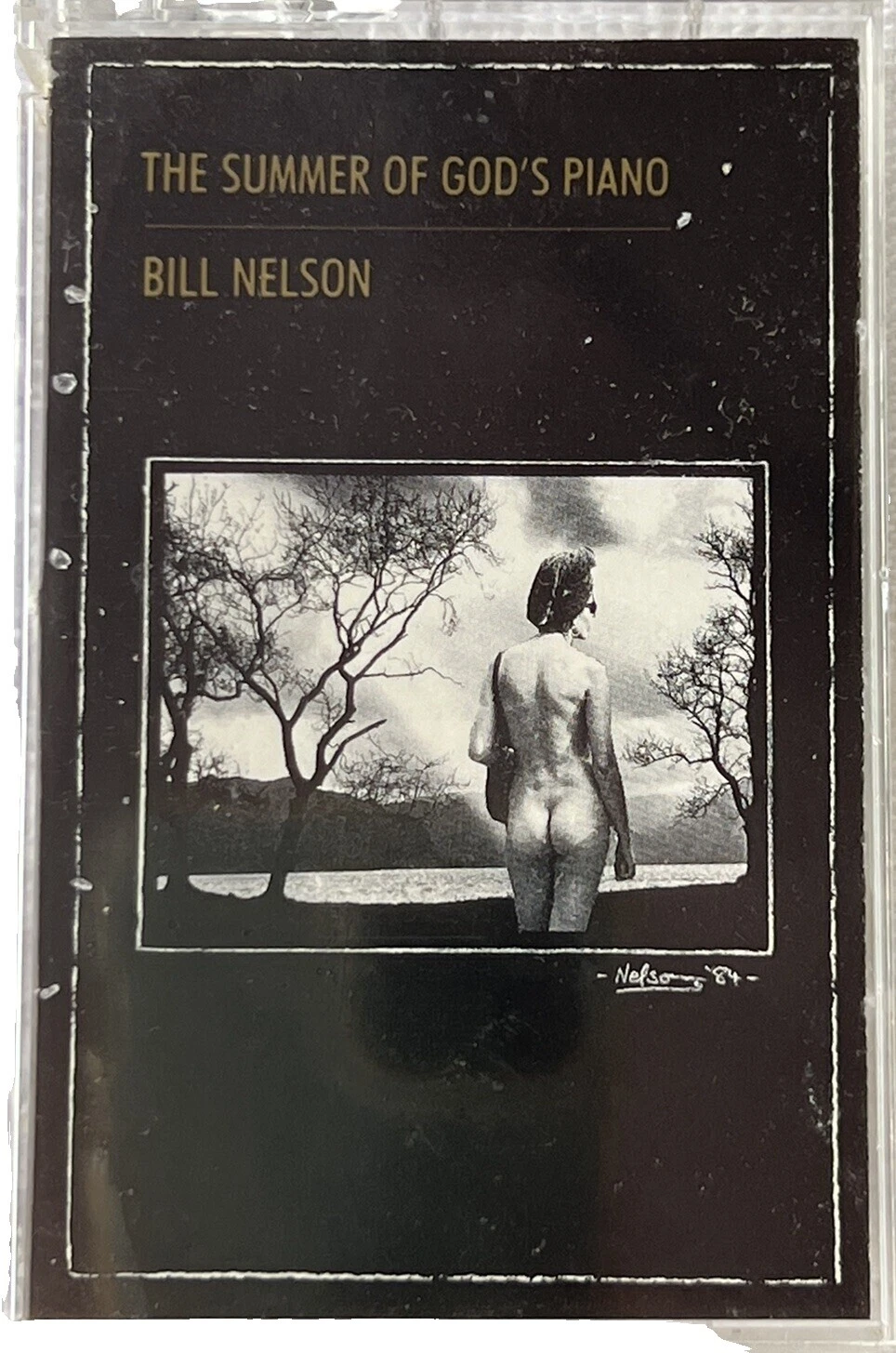 Bill Nelson casetes de Música Rock