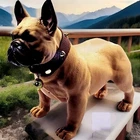 DOG bluetooth speaker BIG Loud super Music Wreless USB Rechargeable 4LB 17”7”11”