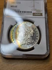 Toned Morgan Dollar