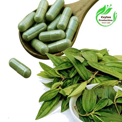 Liver Plant Leaves Capsules(600mg) Dried Organic Osbeckia octandra Heen bovitiya