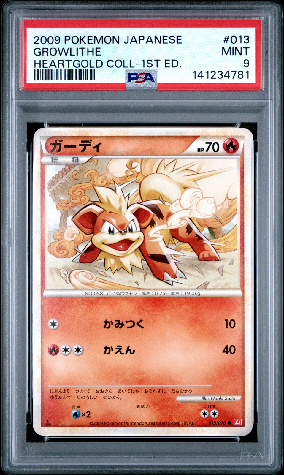 Growlithe #13