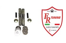 KIT DI REVISIONE FUSELLI CON CUSCINETTI PER FIAT 500
