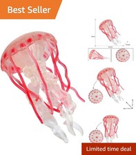 Colorful Jellyfish Octopus Educational Toys - Realistic Sea Creature Figures