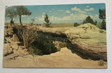 Vintage Postcard ~ Agate Bridge Petrified Forest National Monument ~ Arizona AZ