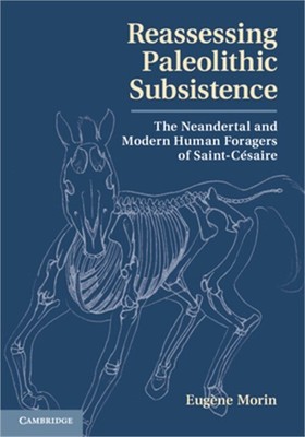 Reassessing Paleolithic Subsistence: The Neandertal and Modern Human Foragers of