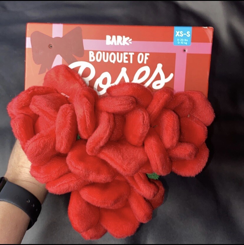 Bouquet of Roses Plush Multi-Part + Tug Dog Toy