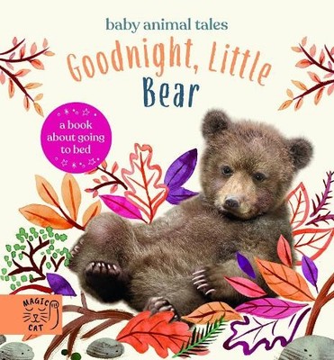 Amanda Wood Goodnight, Little Bear (Gebundene Ausgabe) Baby Animal Tales
