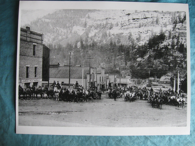 1890s Ouray Colo Real Photo Print 8.5" x 11" 8th St. Mules & Ore Wagons-Mining