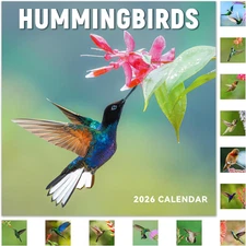 2026 Calendar - 12 Month 2026 Wall Calendar JAN 2026 - DEC 2026, Wall Calendar L