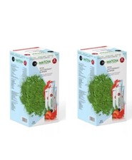 Matcha Premium Japanese Detox Antioxidant Burner Naturel Green Tea