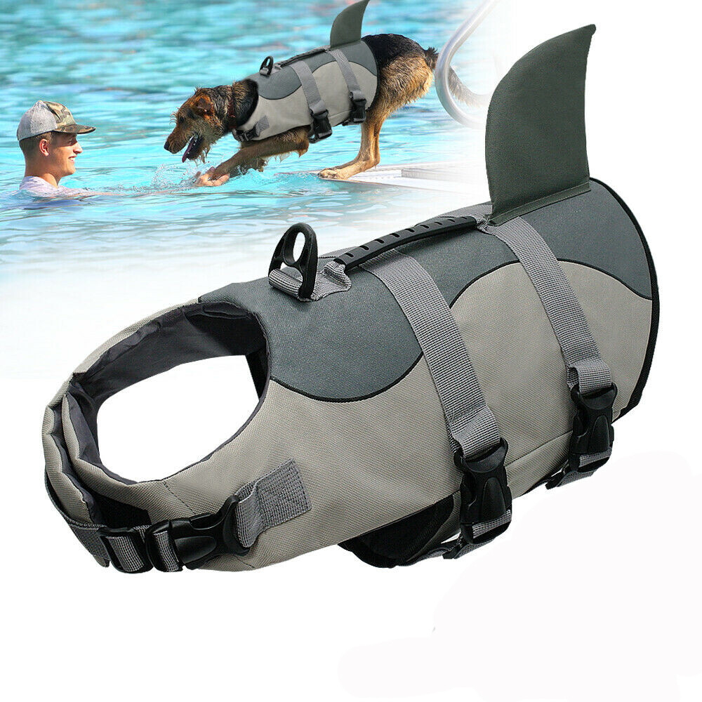 shark dog vest