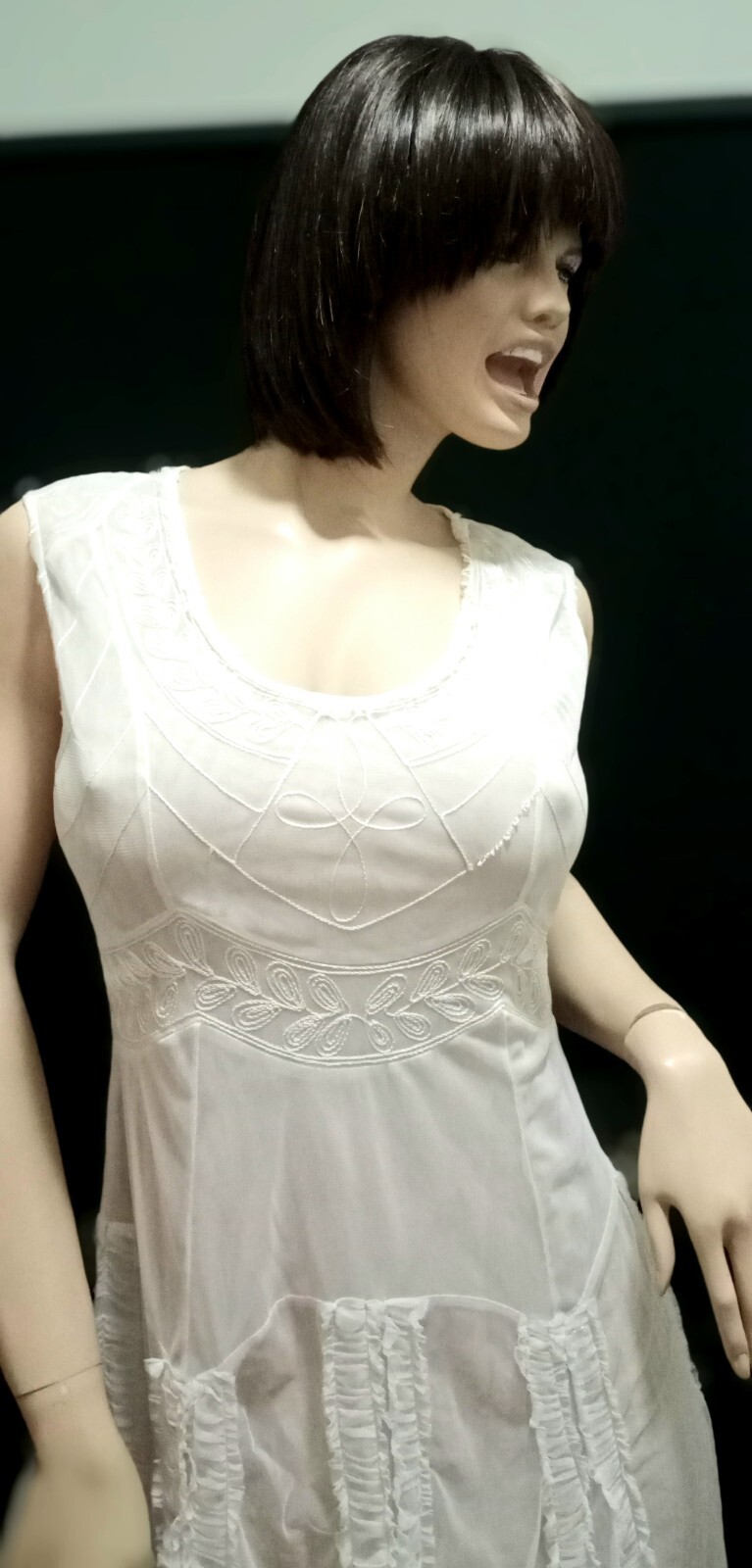 Picture 6 of 12