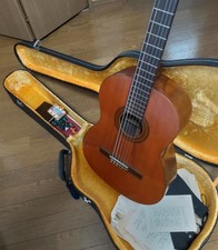 ZEN-ON electric guitars for sale in USA | guitar-list