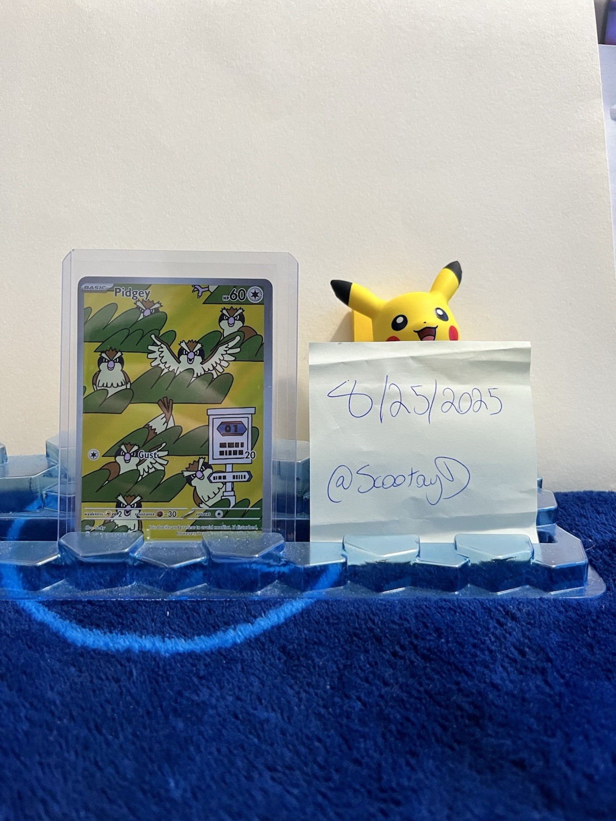 Pidgey 207/197 Sv03: Obsidian Flames Illustration Rare Near Mint Condition