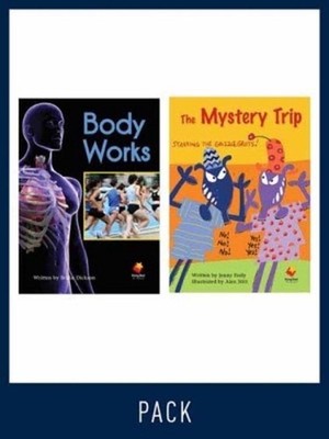 Flying Start Guided Reading Level 23, Pack 3: Paired student books (6x6) and les