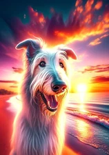 Irish Wolfhound White Summer Sunset Flag