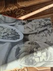 Picture 8 of 8