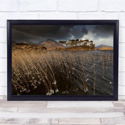 Landschaft Panorama Schilf See Eis Frost Bäume Wandbild Kunstdruck
