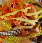 Bild 5 von 11