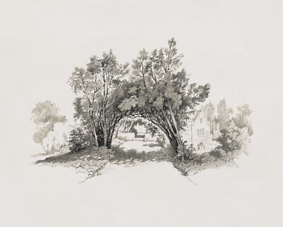 Wooded Path Antique Sketch Reproduction Giclee Print on Fine Art Paper