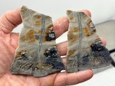 Picasso Marble (Jasper) Slabs Cabbing Lapidary Utah Combo Ship Avail