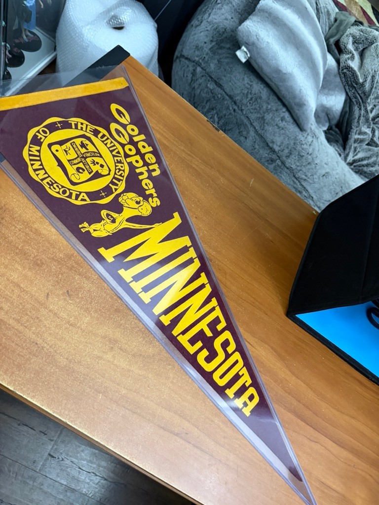 Vtg 1950s University Of Minnesota Wool Felt Pennant 29” Golden Gophers in cased