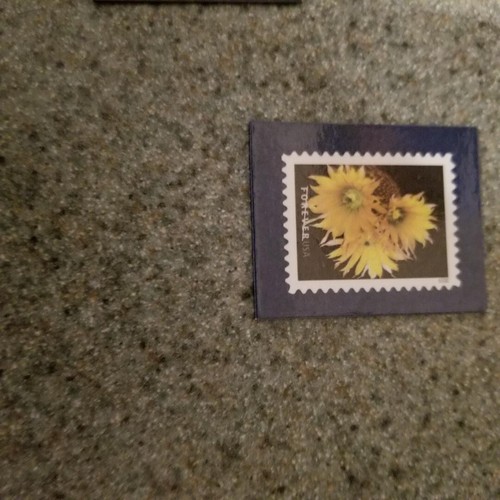 Lot of 12 USPS Promo Stamp Magnets (See Pictures) - Picture 12 of 13