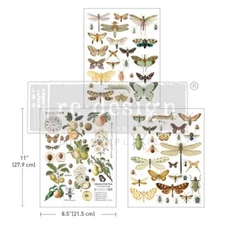 ReDesign with Prima Transfer - Bug Whisperer