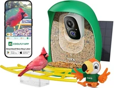 HIXX® Smart Bird Feeder with Camera Solar Panel POWER 2K Resolution Auto Capture