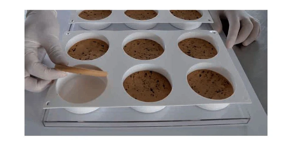 Silikomart Professional BISC02 Ice Cream Sandwich Silicone Mold - Image 2 of 4