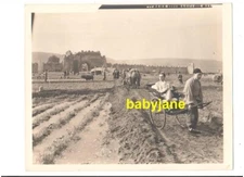 DIRECTOR SIDNEY FRANKLIN ORIG 8X10 PHOTO ON LOCATION 1936 GOOD EARTH MGM DBL WGT