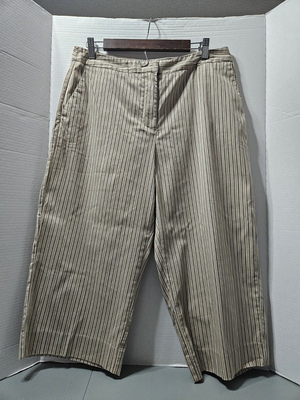 Chico's Size 2 Multicolored Pants