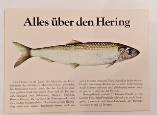 (96) ALLES ÜBER DEN HERING Rezepte Reklame um 1970