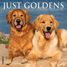 Just Goldens 2026 Mini Wall Calendar by Willow Creek Press