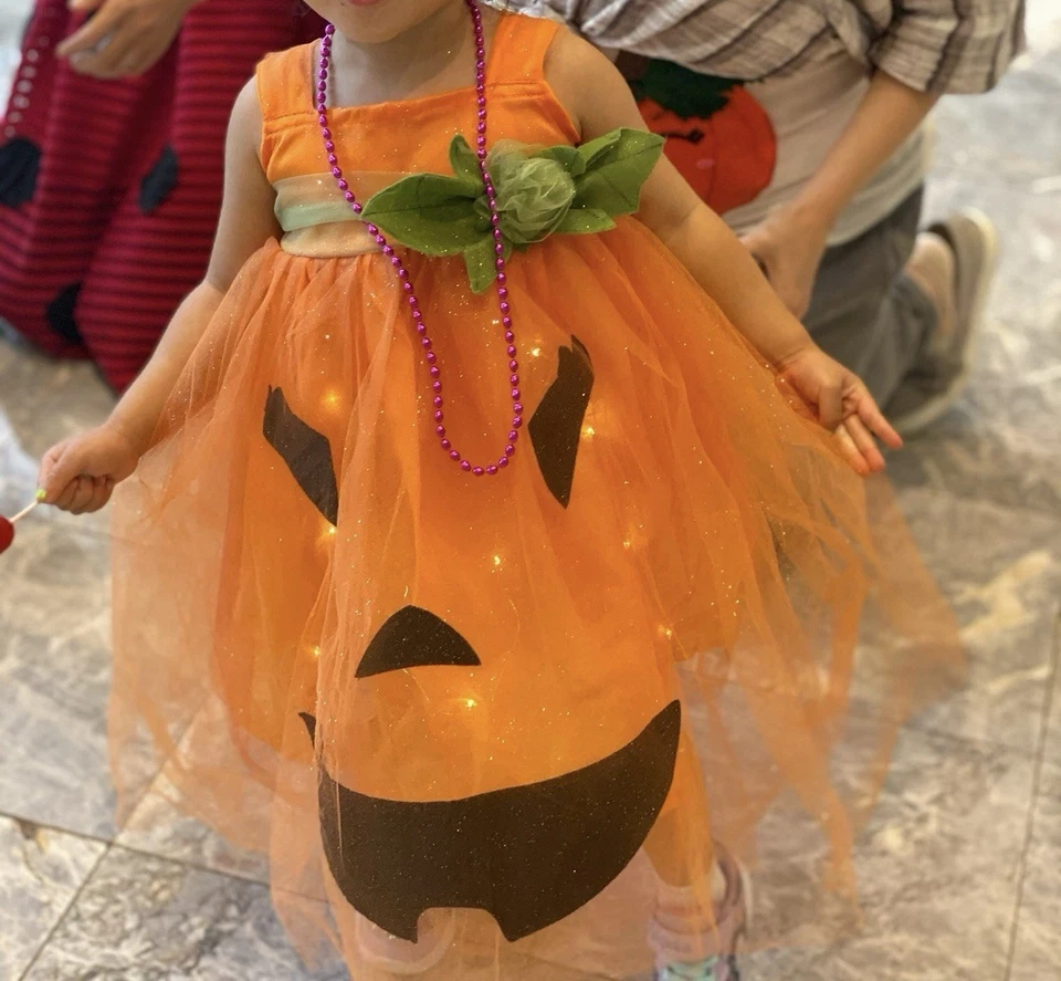 Pottery Barn Kids Pumpkin Orange Halloween Dress Costume- Lights Up! 3T - Image 4 of 4