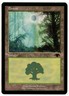Magic: The Gathering - Guru Land, Forest Lightly Played MTG LP cEDH