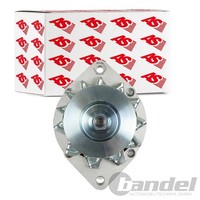 AS-PL Lichtmaschine Generator 65A Passend FüR Alfa Romeo 75 | A9083(LETRIKA)
