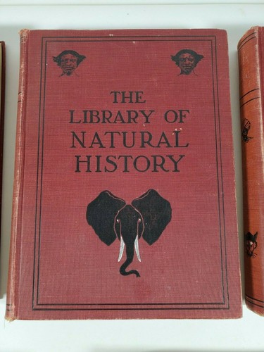 1906 The Library of Natural History Embracing Living Animals Book 5 Vol Set HC - Picture 10 of 11