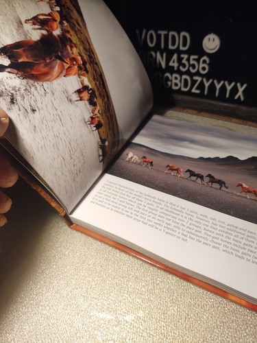 Rare Book VTG 2013 2016 THE Horses of Iceland Gigia Einarsdottir 300 PHOTOGRAPHS - Picture 14 of 24
