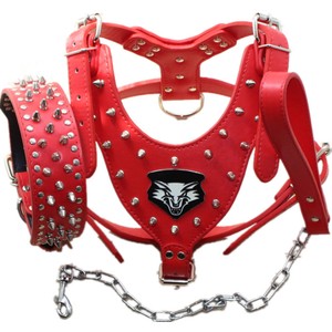 spiked harness