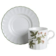 Mikasa Botany Cup & Saucer 365418