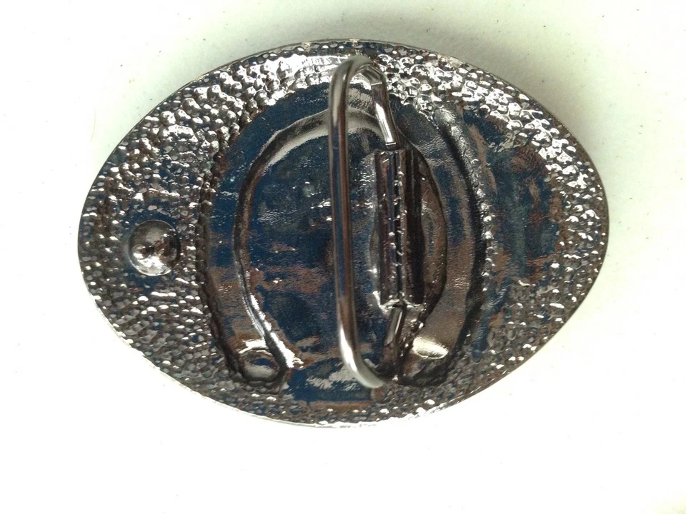 Nueva hebilla de cinturón turquesa hebilla de cinturón de herradura Foto 2 de 2